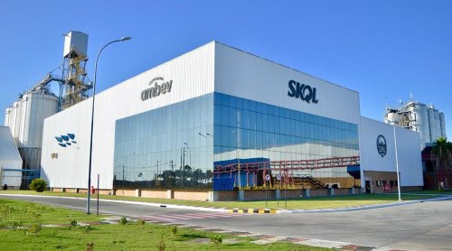 Lucro da Ambev cresce 36% e alcança R$ 4,9 bi em 2025